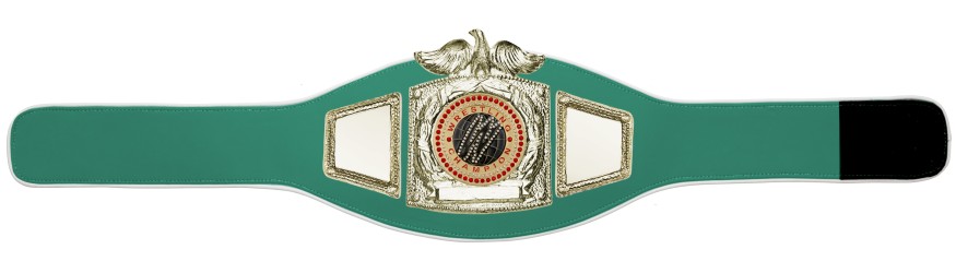 PROEAGLE WRESTLING CHAMPIONSHIP BELT - PROEAGLE/G/WRESTGEM- 6+ COLOURS PROEAGLE WRESTLING CHAMPIONSHIP BELT - PROEAGLE/G/WRESTGEM- 6+ COLOURS